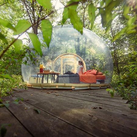 Camping Future Is Nature Playground Sala Biellese Ngoại thất bức ảnh