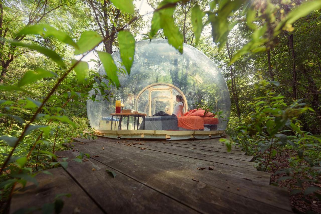 Camping Future Is Nature Playground Sala Biellese Ngoại thất bức ảnh